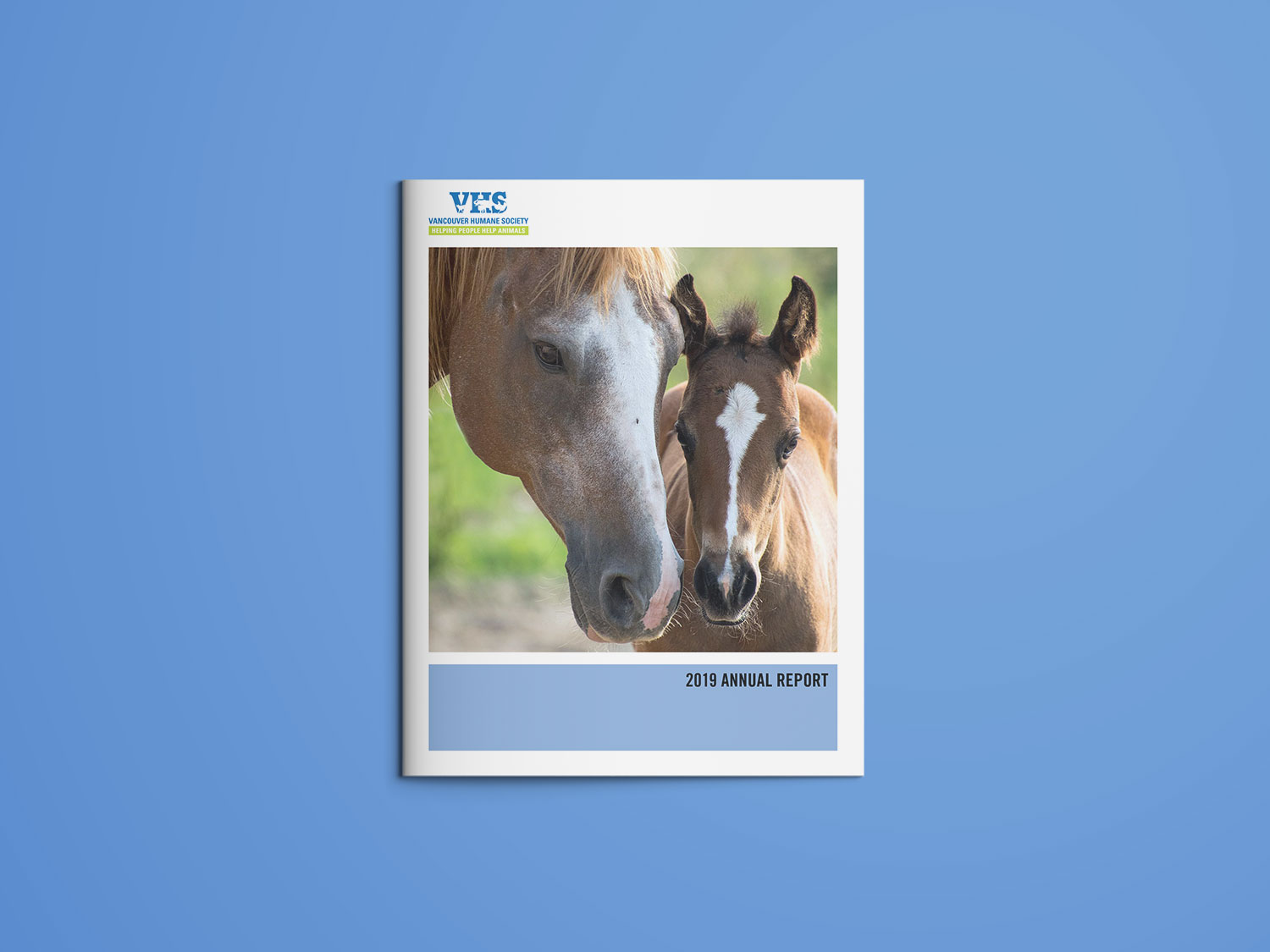 VHS-AR-cover Vancouver Humane Society 2019 Annual Report
