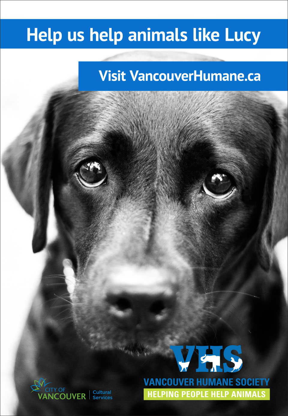 VHS_Transit_Shelter Vancouver Humane Society bus shelter advertising